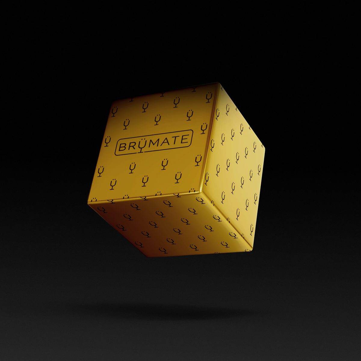 Premium Mystery Item ($39-70 Value) B8